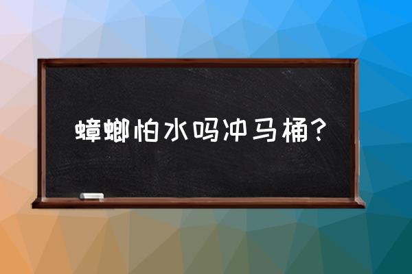 蟑螂放马桶里冲走还会活吗 蟑螂怕水吗冲马桶? 蟑螂放马桶里冲走还会活吗 蟑螂怕水吗冲马桶?