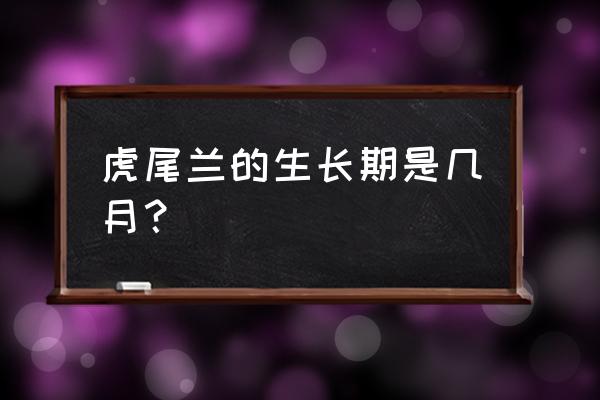 虎皮兰移栽几天能成活 虎尾兰的生长期是几月? 虎皮兰移栽几天能成活 虎尾兰的生长期是几月?