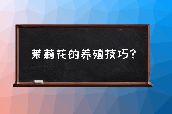 茉莉花施什么肥料 茉莉花的养殖技巧? 茉莉花施什么肥料 茉莉花的养殖技巧?