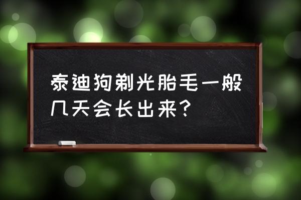 马尔济斯的胎毛是什么时候换 泰迪狗剃光胎毛一般几天会长出来? 马尔济斯的胎毛是什么时候换 泰迪狗剃光胎毛一般几天会长出来?