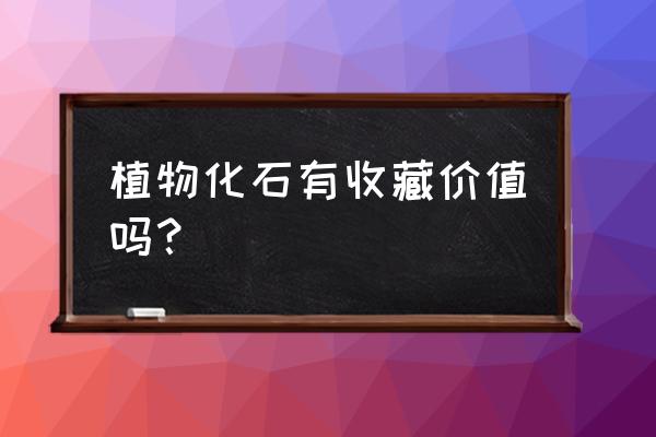 木化石为啥不值钱 植物化石有收藏价值吗? 木化石为啥不值钱 植物化石有收藏价值吗?