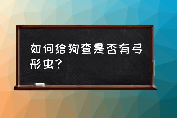 如何判断狗狗得了体外寄生虫 如何给狗查是否有弓形虫? 如何判断狗狗得了体外寄生虫 如何给狗查是否有弓形虫?