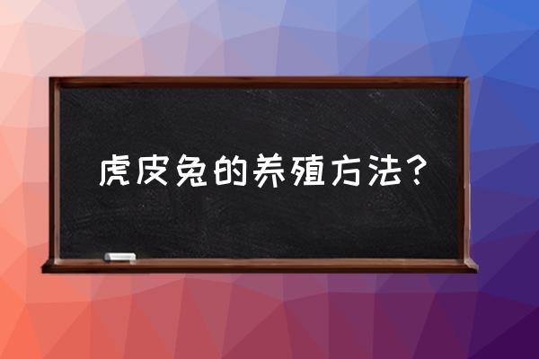 怎么预防兔瘟最好方法 虎皮兔的养殖方法? 怎么预防兔瘟最好方法 虎皮兔的养殖方法?